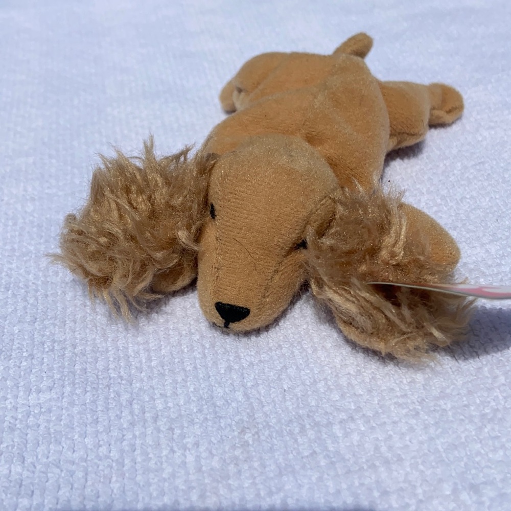 Teenie Beanie Babies Spunky the Cocker Spaniel